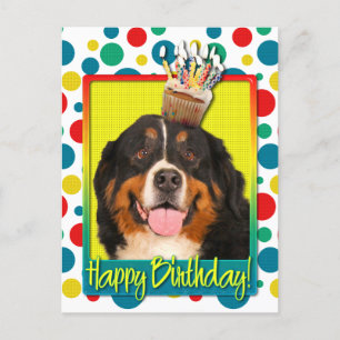Postal Torta de cumpleaños - Perro de montaña de Bernese