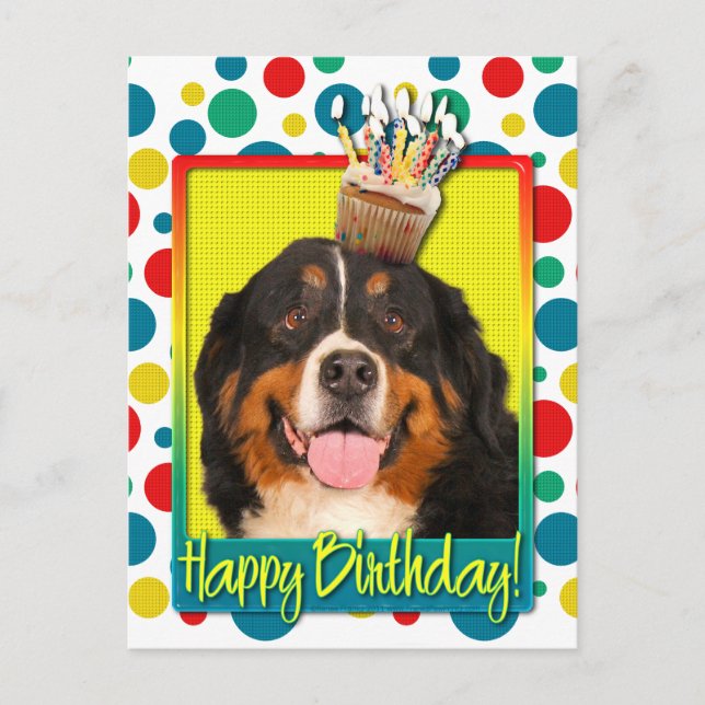 Postal Torta de cumpleaños - Perro de montaña de Bernese (Anverso)