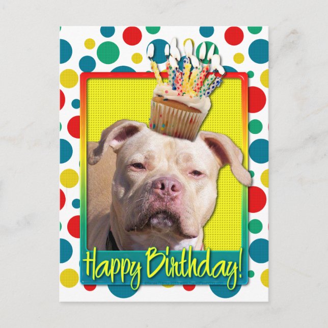 Postal Torta de cumpleaños - Pitbull - Chica de Jersey (Anverso)
