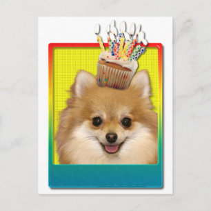 Postal Torta de cumpleaños - Pomerania