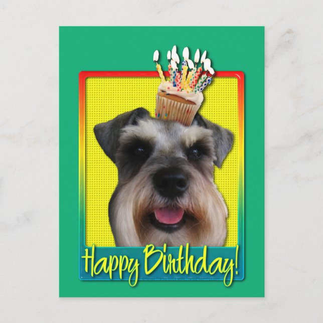 Postal Torta de cumpleaños - Schnauzer (Anverso)