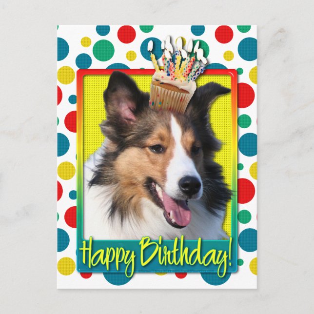 Postal Torta de cumpleaños - Sheltie (Anverso)
