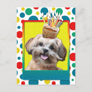 Postal Torta de cumpleaños - ShihPoo - Maggie