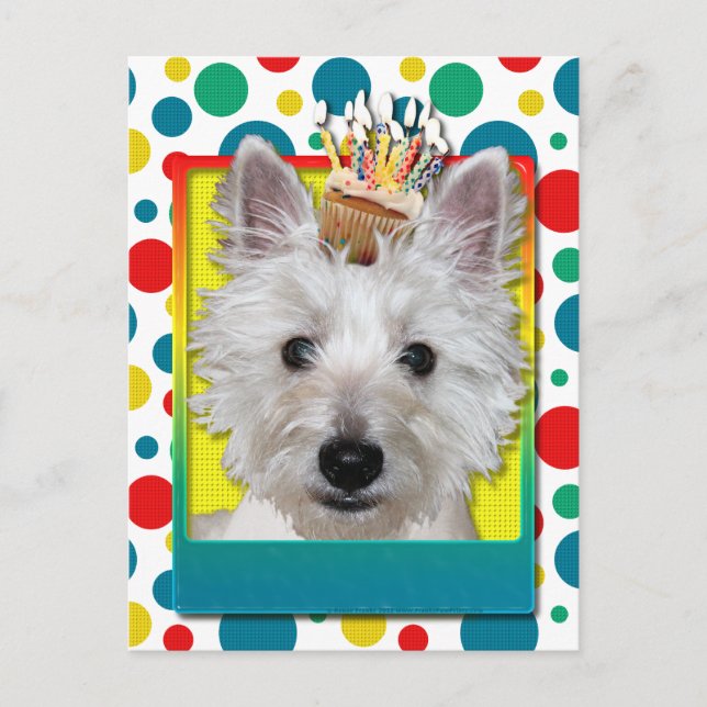 Postal Torta de cumpleaños - Westie - Tanque (Anverso)