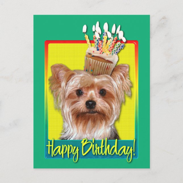 Postal Torta de cumpleaños - Yorkshire Terrier (Anverso)