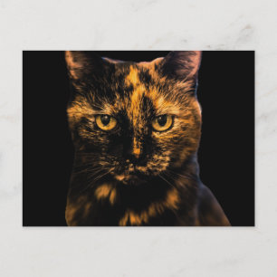 Postal Tortie Cat Love Design #2