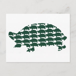 Postal Tortoises