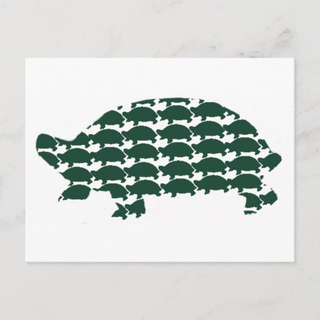 Postal Tortoises (Anverso)
