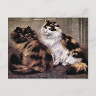 Postal Tortoiseshell Arte de gatos persas