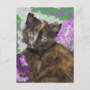 Postal Tortoisshell Kitten en flores verdes y moradas