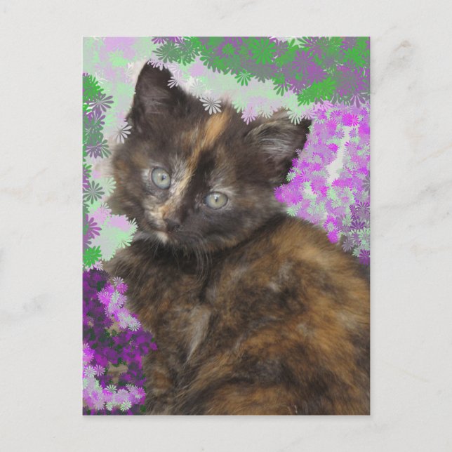 Postal Tortoisshell Kitten en flores verdes y moradas (Anverso)