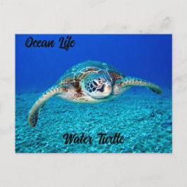 Postal Tortuga acuática Ocean Life