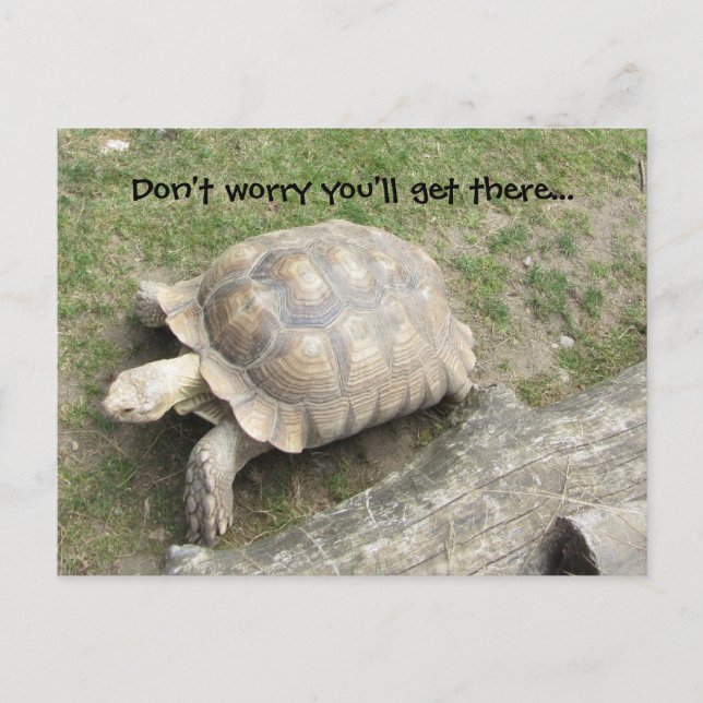 Postal Tortuga con decir (Anverso)