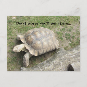 Postal Tortuga con dicho