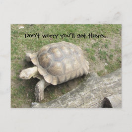 Postal Tortuga con dicho