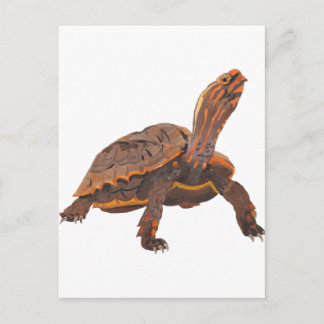 Postal Tortuga Copia Copia Copia Copia Copia Copia Copia