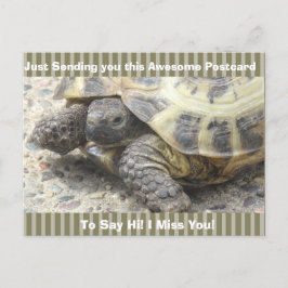 Postal Tortuga Cuta "Te echo de menos" diciendo su tarjet