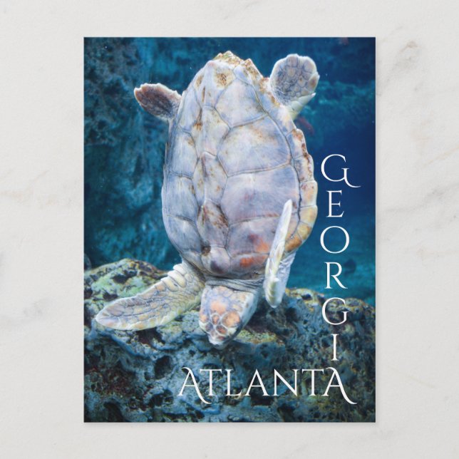 Postal Tortuga de Atlanta Georgia (Anverso)