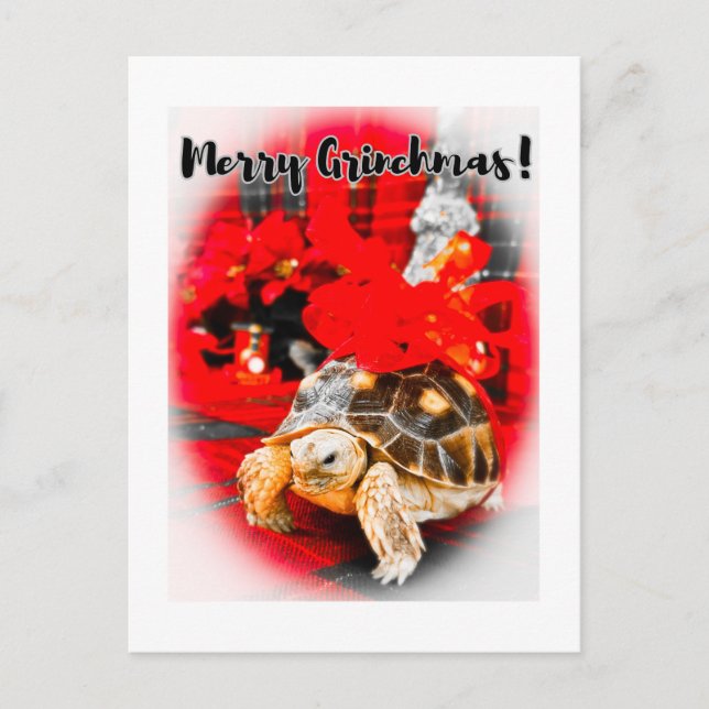 Postal Tortuga de bebé sulcata de cerezo Grinchmas con ar (Anverso)