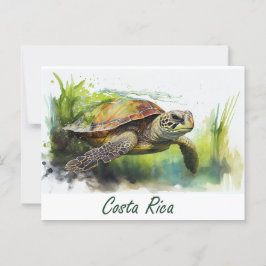 Postal Tortuga de Costa Rica