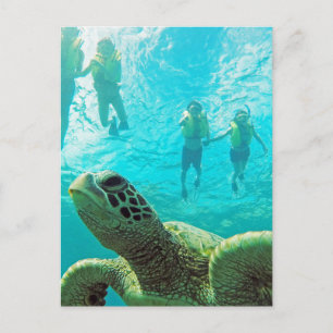 Postal Tortuga de Hawái y tubos de buceo