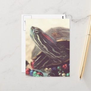 Postal Tortuga de Navidad