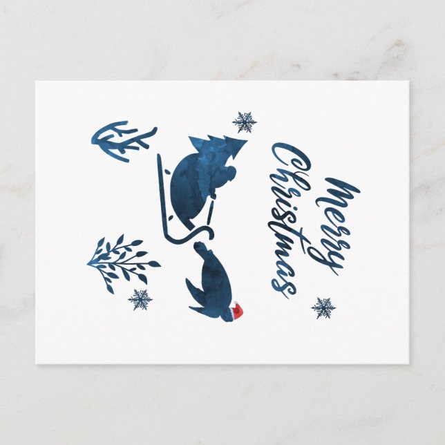 Postal Tortuga del mar de Santa (Anverso)