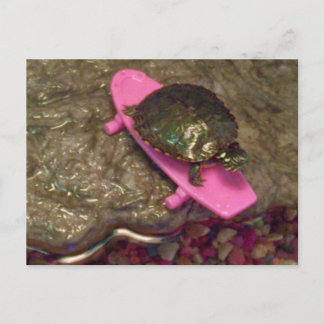 Postal Tortuga deslizante de tierra roja montando patinet