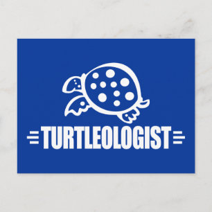 Postal Tortuga divertida