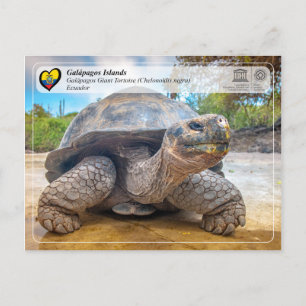 Postal Tortuga gigante - Islas Galápagos