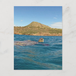 Postal Tortuga hawaiana