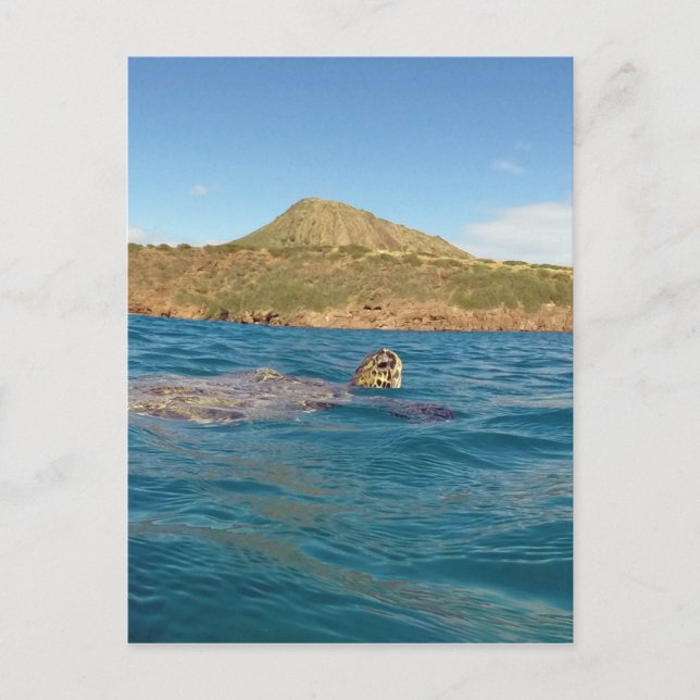 Postal Tortuga hawaiana (Anverso)