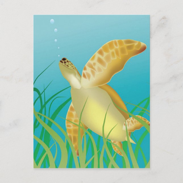 Postal Tortuga Hawaii (Anverso)