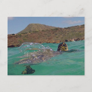 Postal Tortuga Hawaii de la bahía de Hanauma