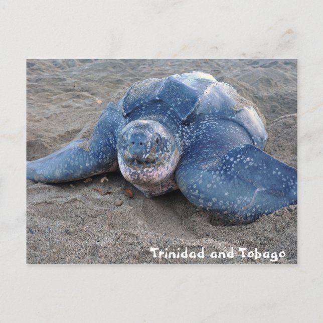 Postal Tortuga laúd en Trinidad y Tobago (Anverso)