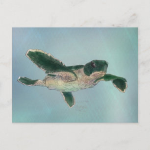 Postal Tortuga marina