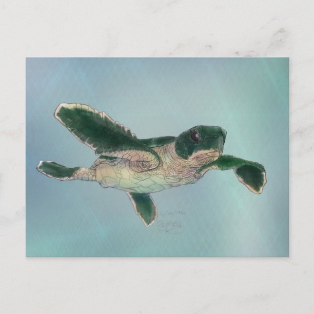 Postal Tortuga marina (Anverso)