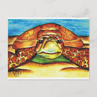 Postal Tortuga marina