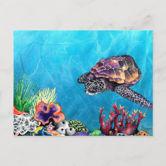 Postal Tortuga marina