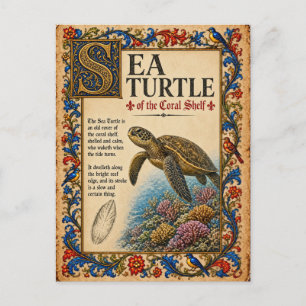 Postal Tortuga marina, arte de bestiario medieval