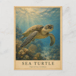 Postal Tortuga marina caribeña VINTAGE