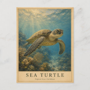 Postal Tortuga marina caribeña VINTAGE