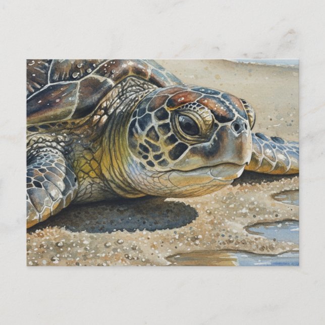 Postal Tortuga marina de Kauai primer plano (Anverso)