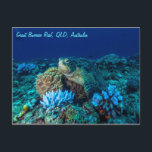 Postal Tortuga marina en la Gran Barrera de Coral<br><div class="desc">Esta hermosa postal cuenta con una tortuga marina descansando en un lugar llamado Coral Gardens en la Gran Barrera de Coral en el Mar de Coral.</div>