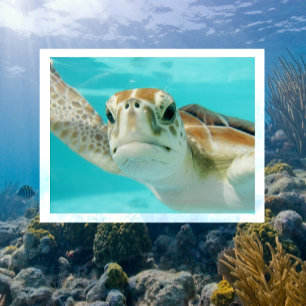 Postal Tortuga marina frente a cerca en agua limpia