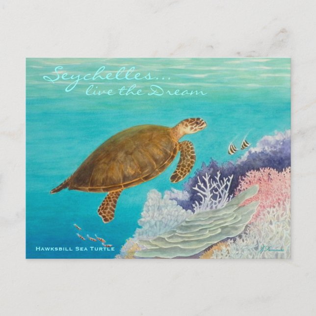 Postal Tortuga marina Hawksbill (Anverso)