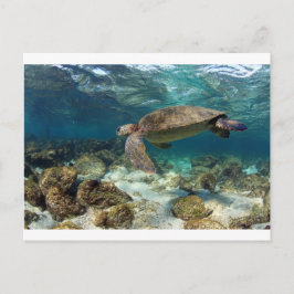 Postal Tortuga marina nadando en la isla del paraíso de l