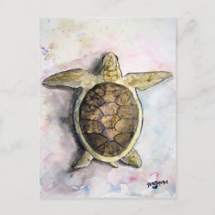 Postal tortuga marina pintura arte regalos animales salva