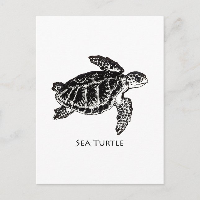 Postal Tortuga marina (Ridley de Kemp)