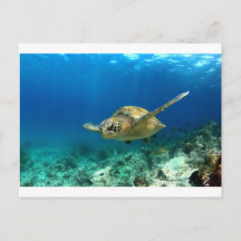 Postal Tortuga marina submarina